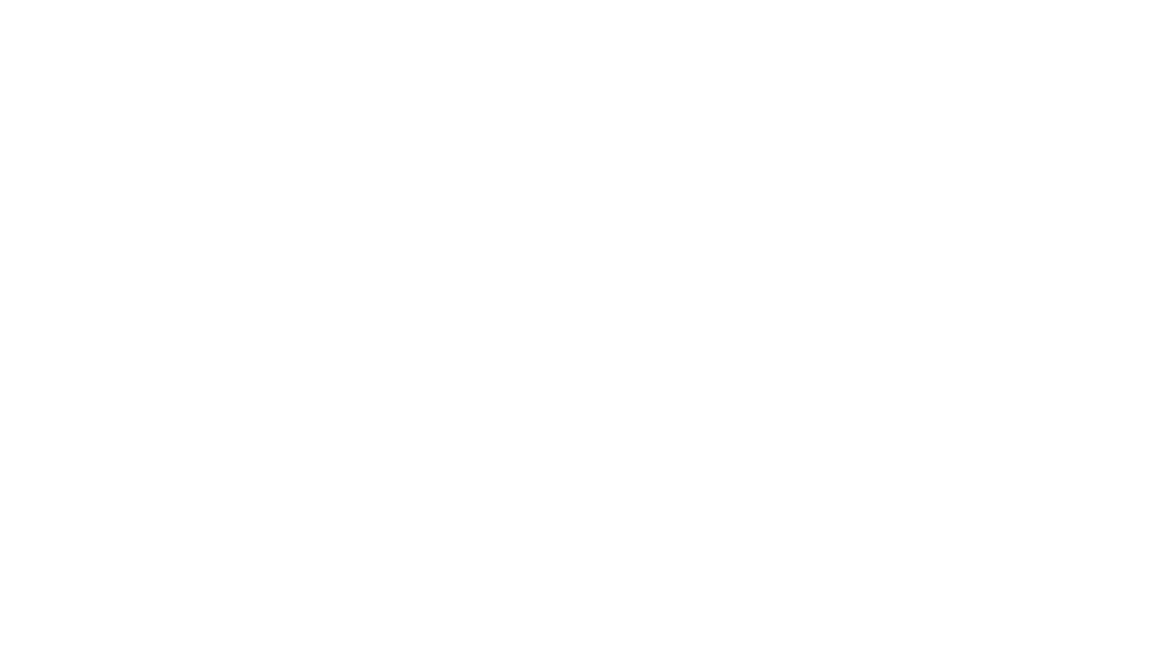 313 Logo